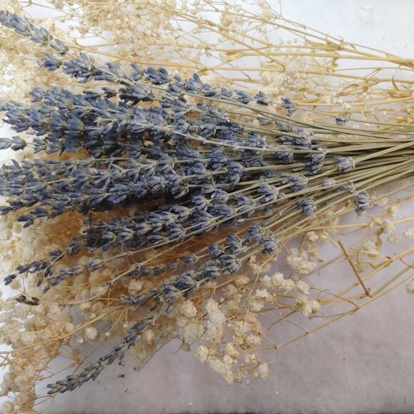 60g Dried Lavender & Baby Breath Bundles 100% Natural Bouquet Home Decor Wedding - Picture 3 of 13